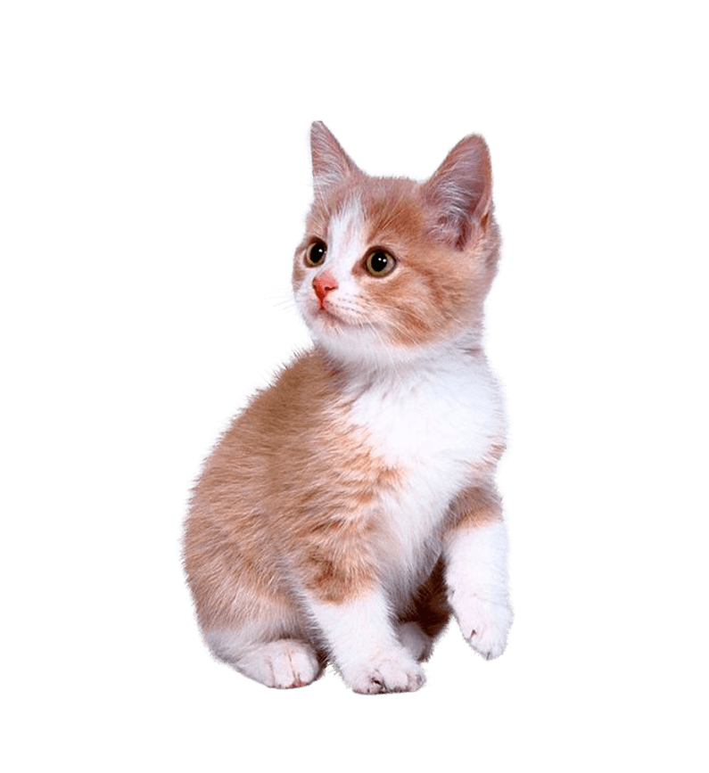 Explore new arrivals